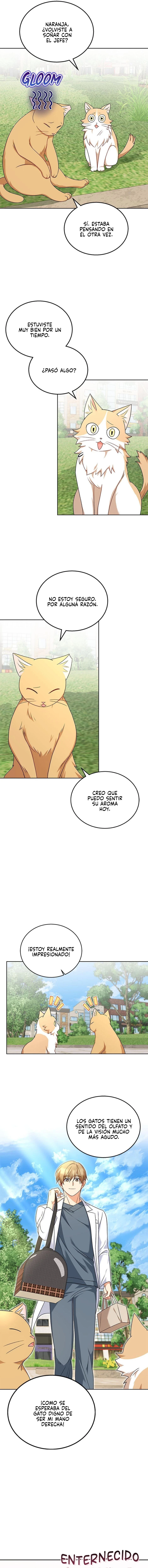 ¡Veterinario! ¿Hola? Capítulo 21 - Página 8 en español
