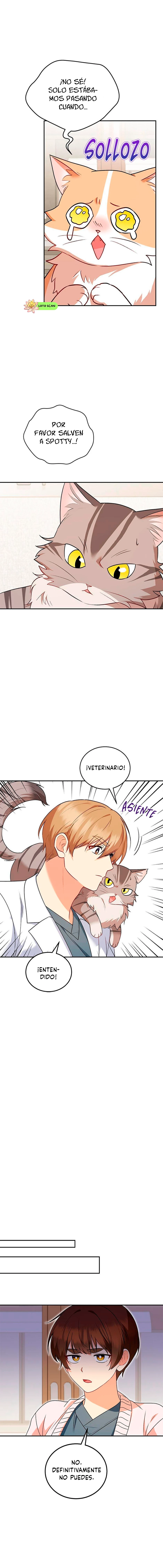 ¡Veterinario! ¿Hola? Capítulo 25 - Página 3 en español