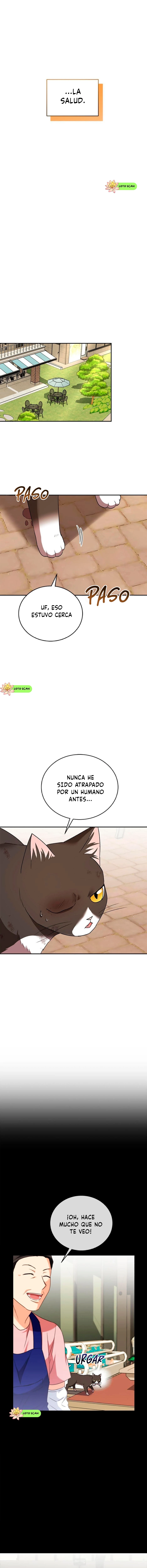 ¡Veterinario! ¿Hola? Capítulo 27 - Página 3 en español