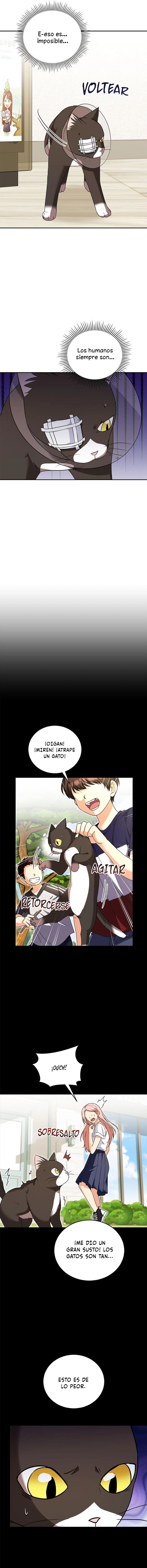 ¡Veterinario! ¿Hola? Capítulo 28 - Página 6 en español