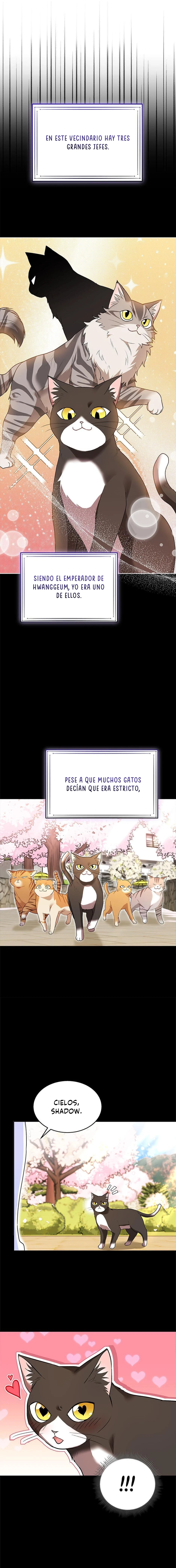 ¡Veterinario! ¿Hola? Capítulo 30 - Página 13 en español