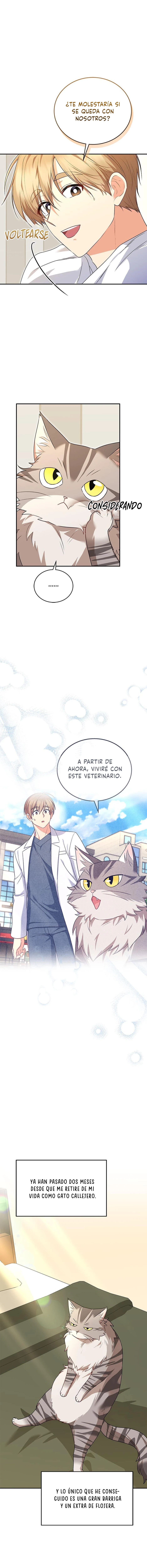 ¡Veterinario! ¿Hola? Capítulo 30 - Página 4 en español
