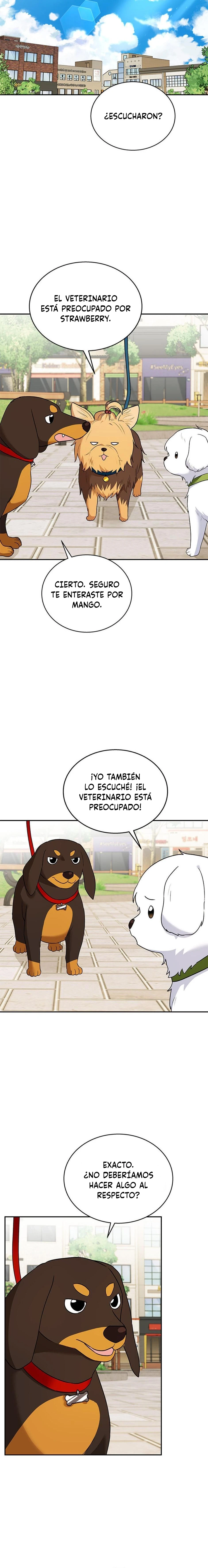 ¡Veterinario! ¿Hola? Capítulo 31 - Página 15 en español