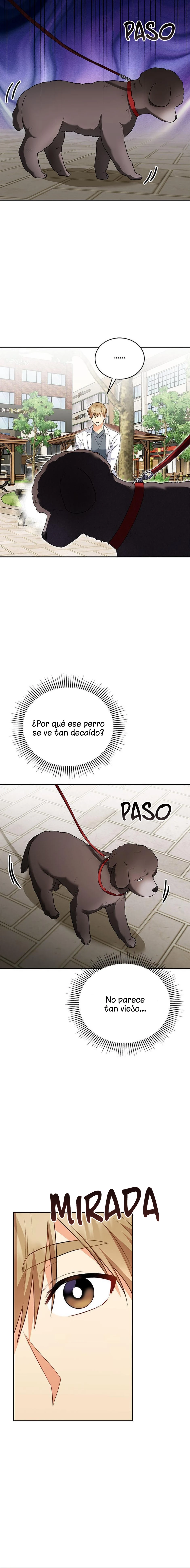 ¡Veterinario! ¿Hola? Capítulo 31 - Página 9 en español