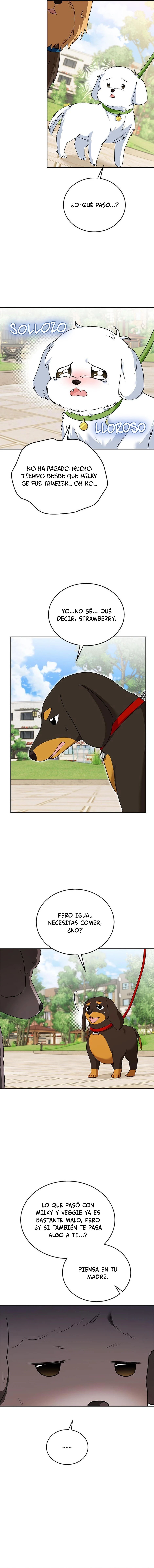 ¡Veterinario! ¿Hola? Capítulo 32 - Página 13 en español