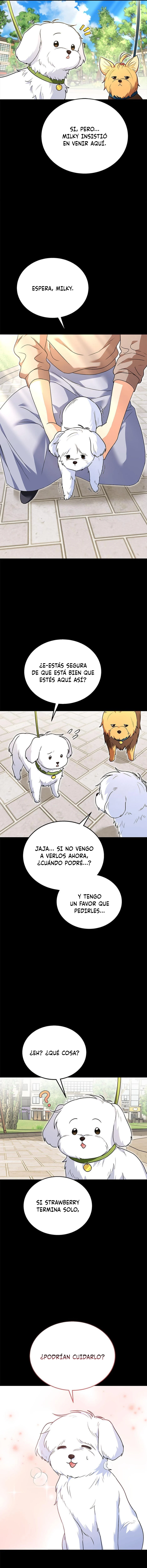 ¡Veterinario! ¿Hola? Capítulo 32 - Página 3 en español