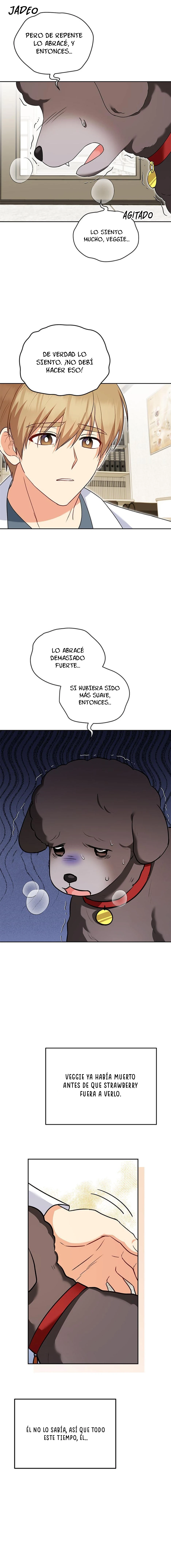 ¡Veterinario! ¿Hola? Capítulo 34 - Página 8 en español