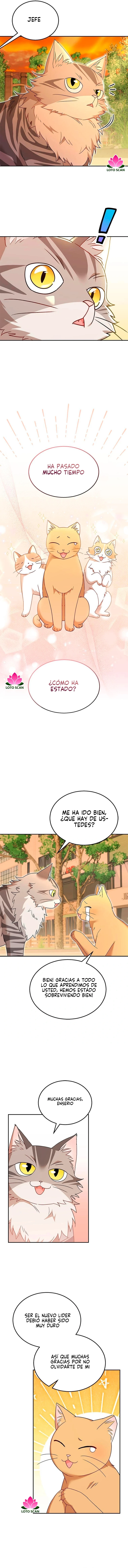 ¡Veterinario! ¿Hola? Capítulo 38 - Página 3 en español