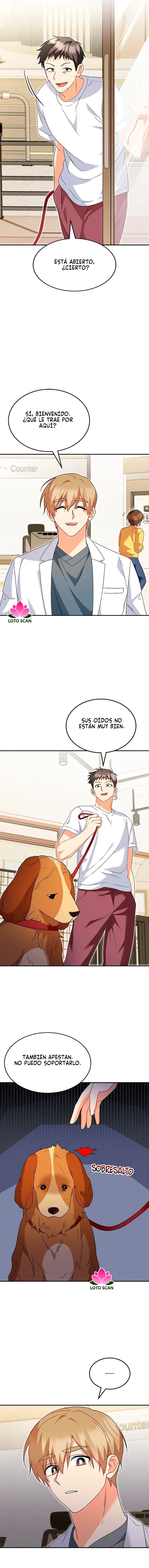 ¡Veterinario! ¿Hola? Capítulo 42 - Página 4 en español