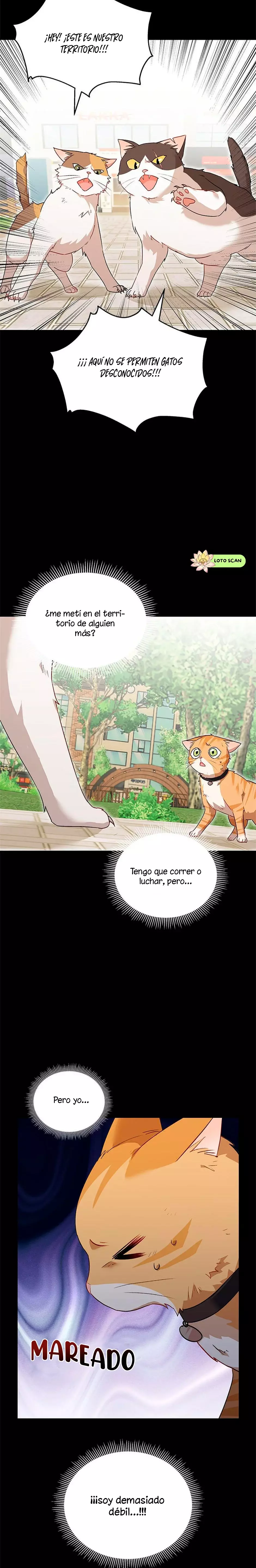 ¡Veterinario! ¿Hola? Capítulo 7 - Página 13 en español