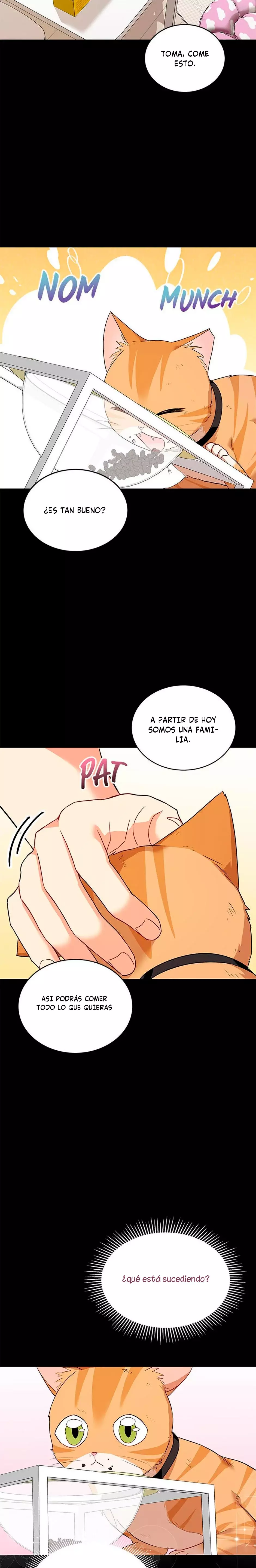 ¡Veterinario! ¿Hola? Capítulo 7 - Página 20 en español