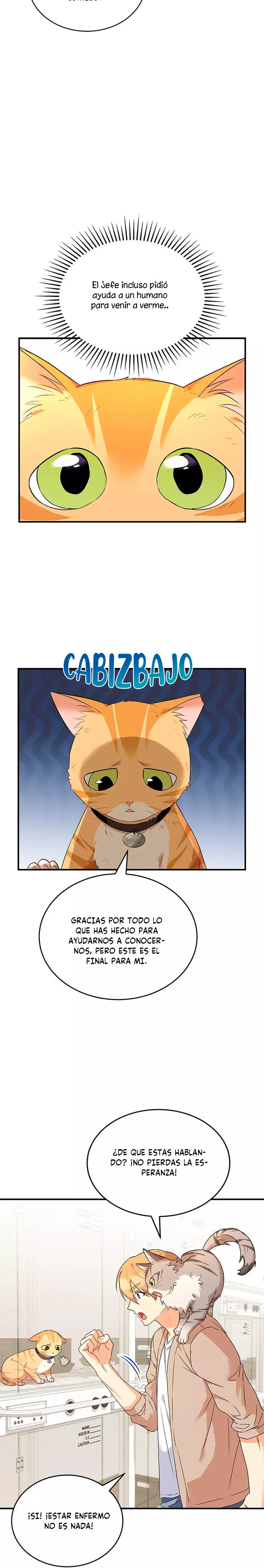 ¡Veterinario! ¿Hola? Capítulo 7 - Página 29 en español