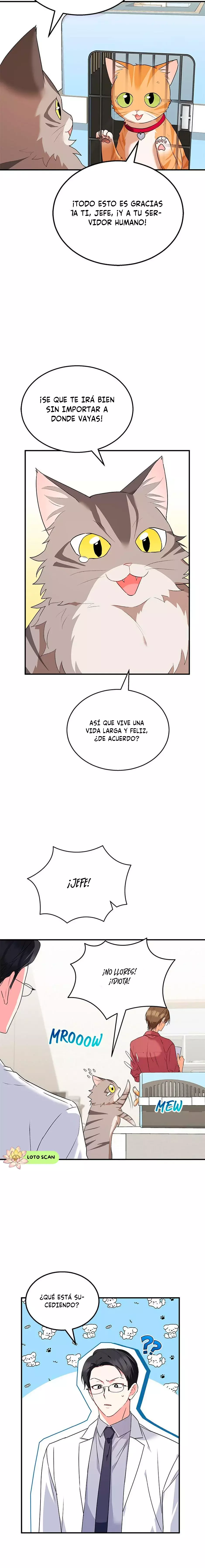 ¡Veterinario! ¿Hola? Capítulo 8 - Página 18 en español