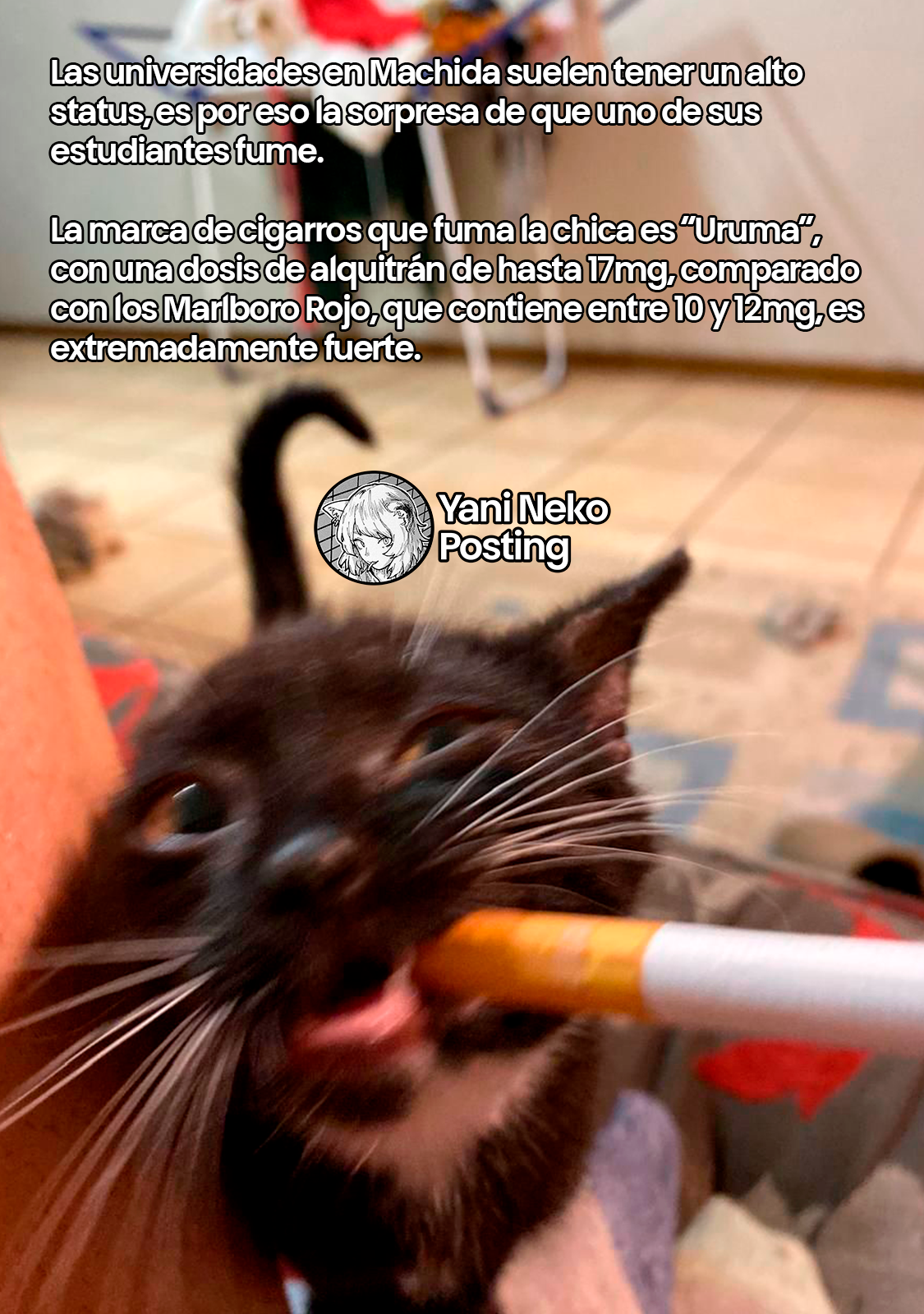 NICOTINEKO Capítulo 112 - Página 5 en español