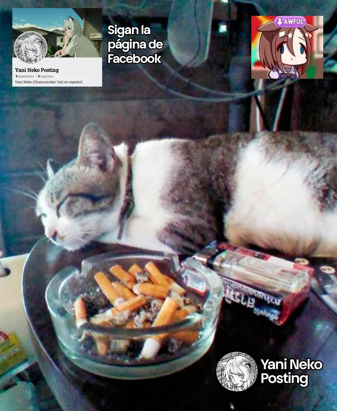 NICOTINEKO Capítulo 40 - Página 5 en español