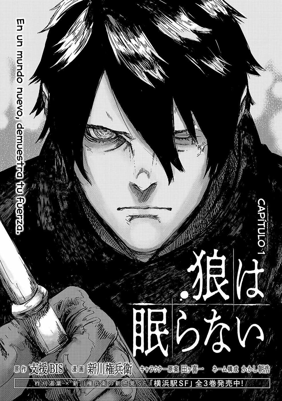 Ookami wa Nemuranai Capítulo 1 - Página 4 en español