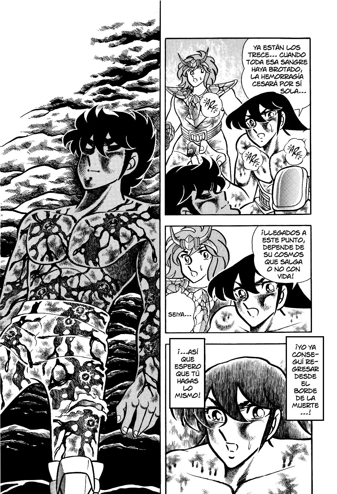 Saint Seiya Kanzenban Capítulo 18 - Página 8 en español