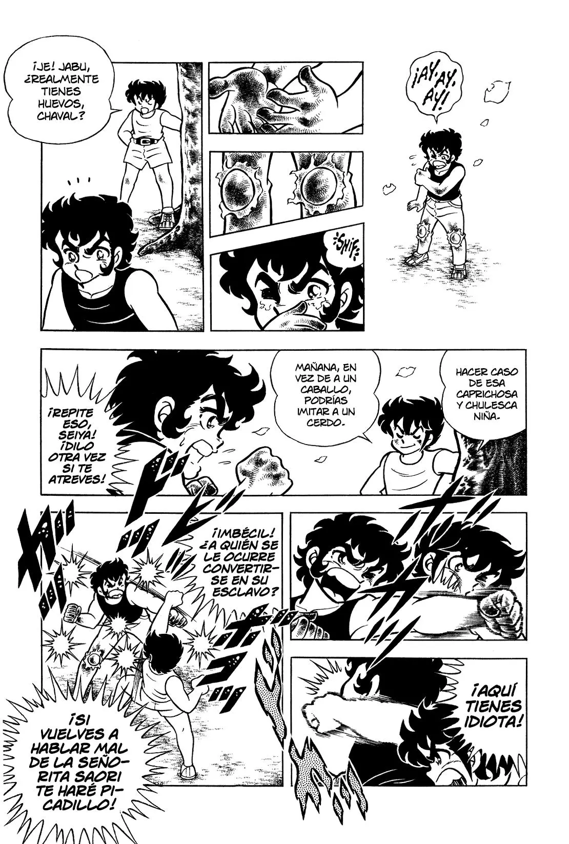 Saint Seiya Kanzenban Capítulo 3 - Página 27 en español