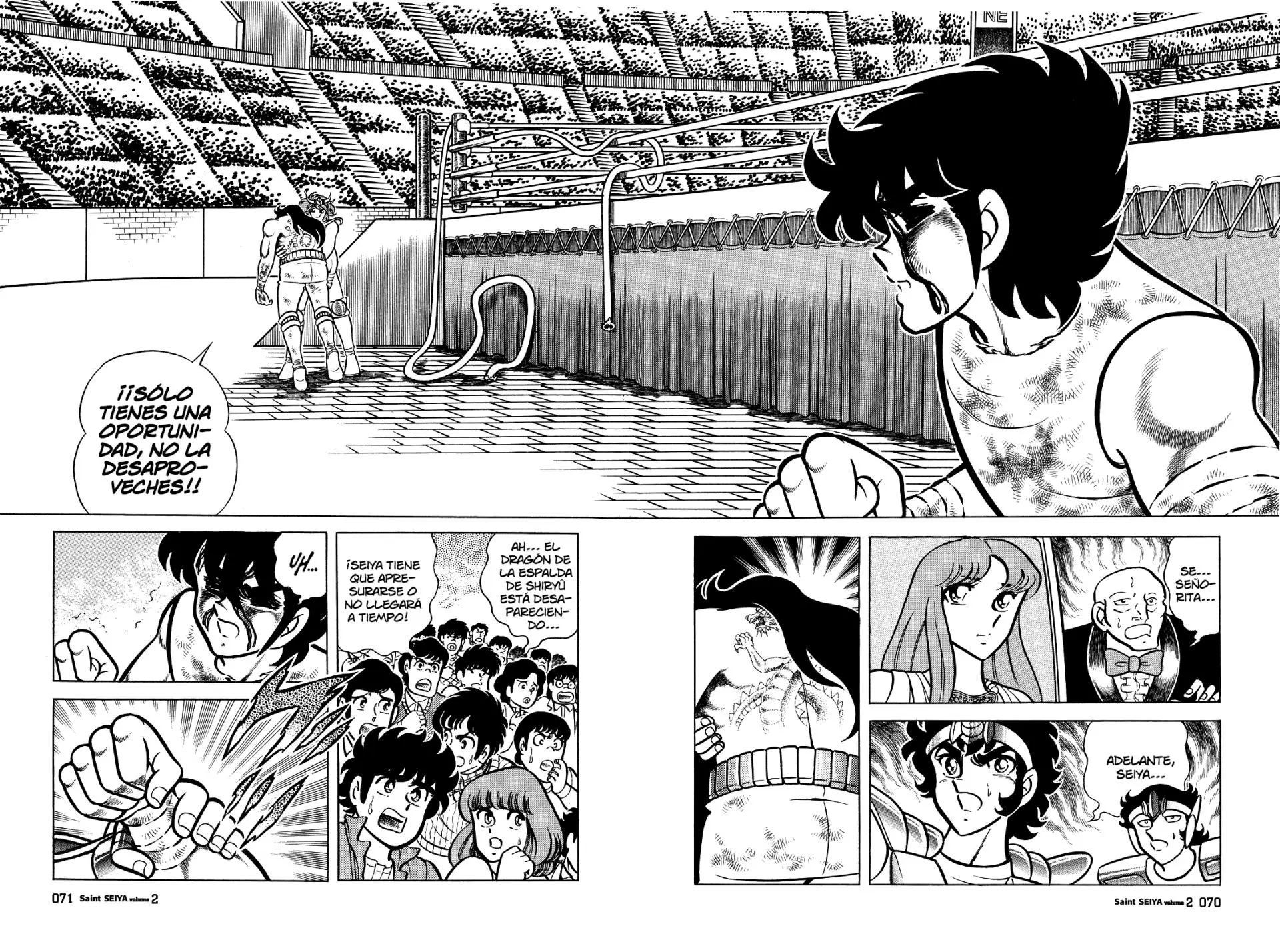 Saint Seiya Kanzenban Capítulo 8 - Página 44 en español