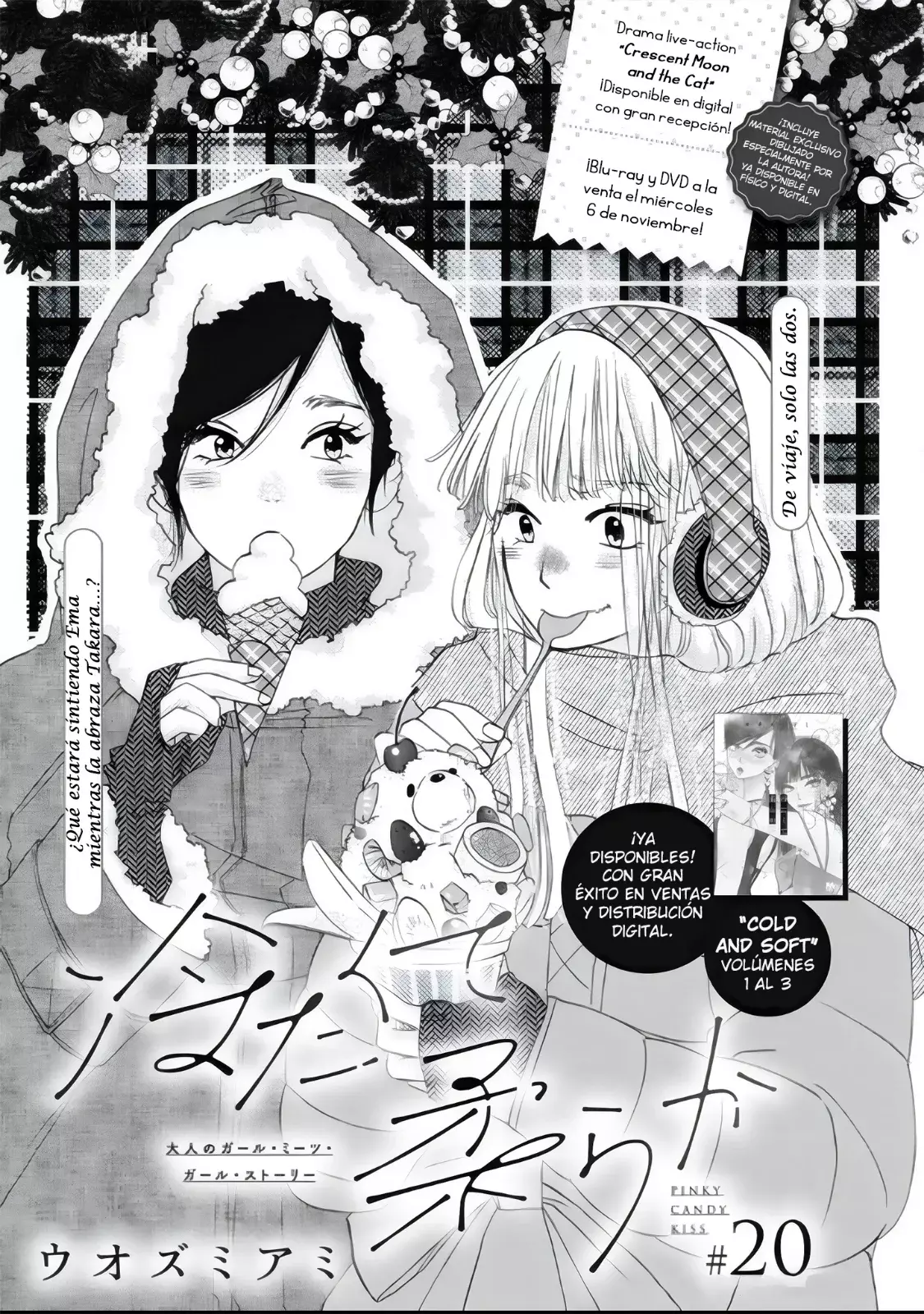 Tsumetakute Yawaraka Capítulo 20 - Página 3 en español