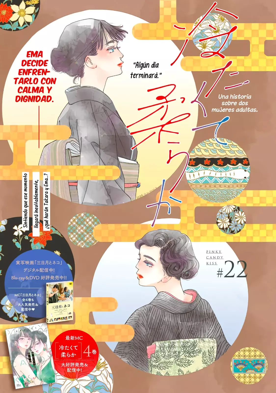 Tsumetakute Yawaraka Capítulo 22 - Página 3 en español