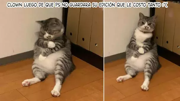 El Dormitorio Secreto De La Princesa Abandonada Capítulo 10 - Página 95 en español