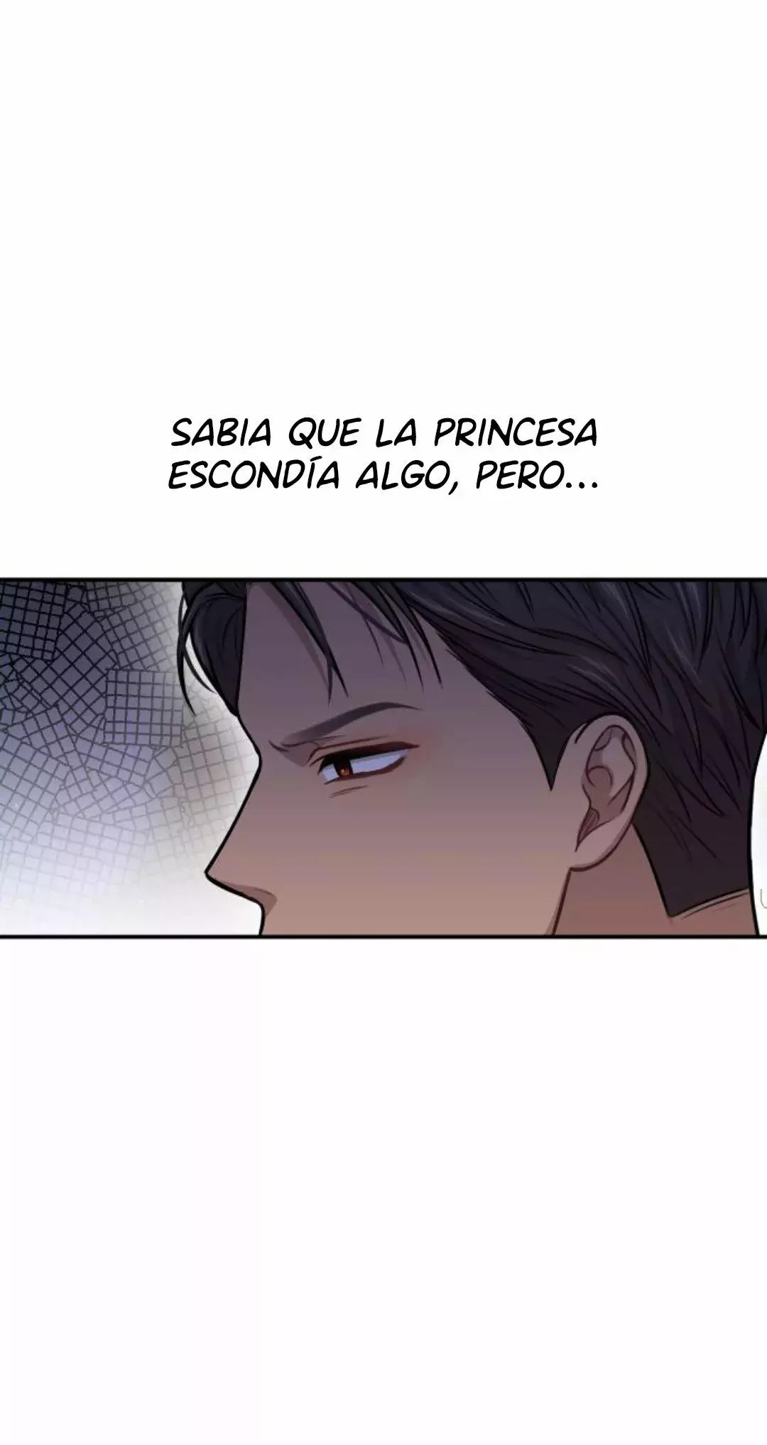 El Dormitorio Secreto De La Princesa Abandonada Capítulo 32 - Página 94 en español