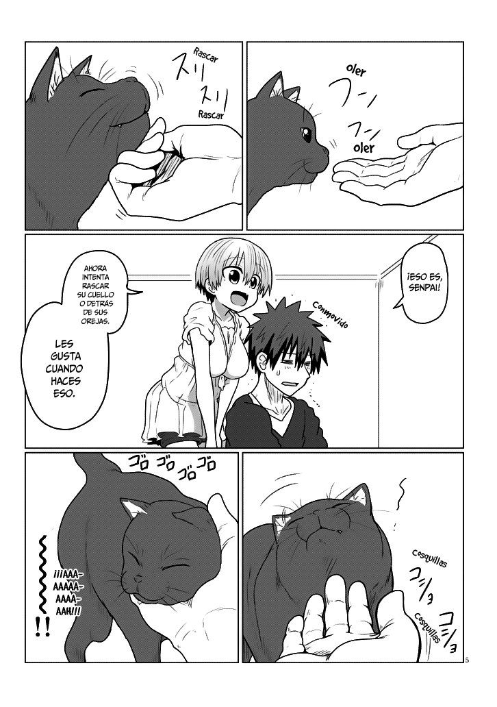 Uzaki-chan wa Asobitai! Capítulo 21 - Página 6 en español