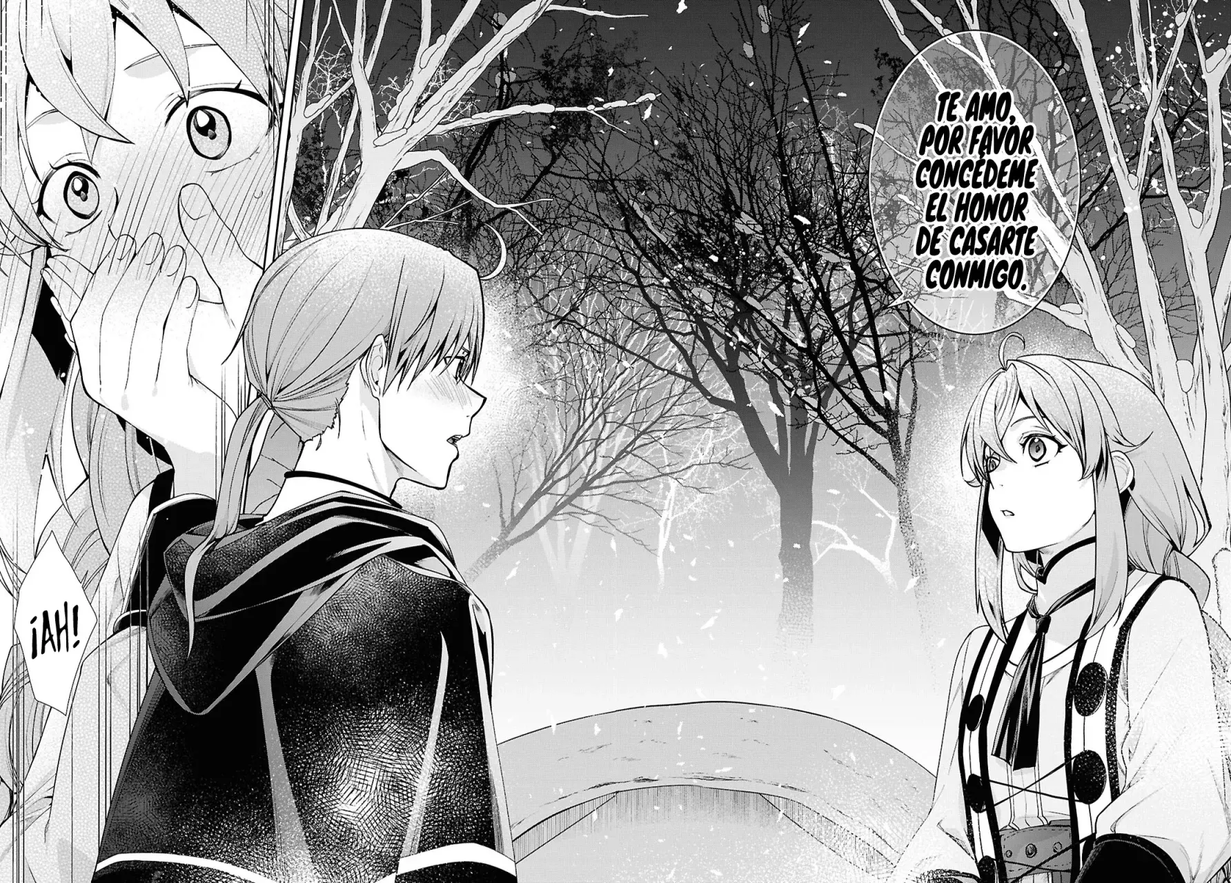 Mushoku Tensei: Isekai Ittara Honki Dasu Capítulo 115 - Página 18 en español