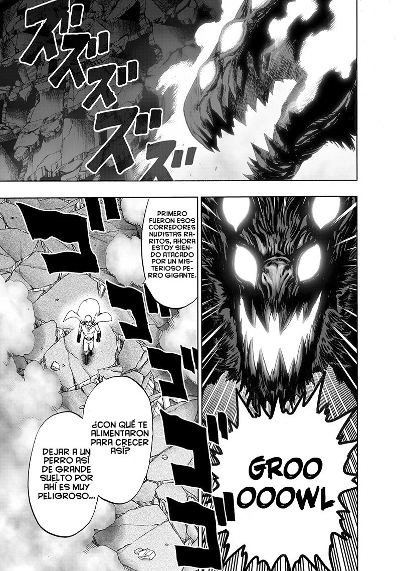 One Punch-Man Capítulo 148 - Página 17 en español