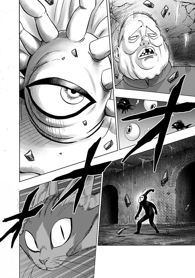 One Punch-Man Capítulo 148 - Página 24 en español