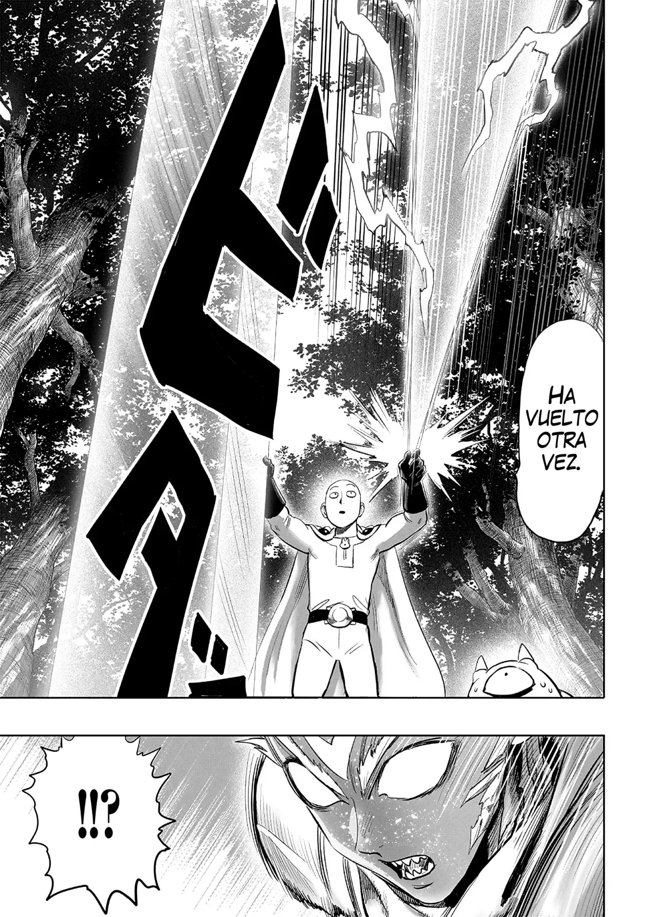 One Punch-Man Capítulo 252 - Página 14 en español