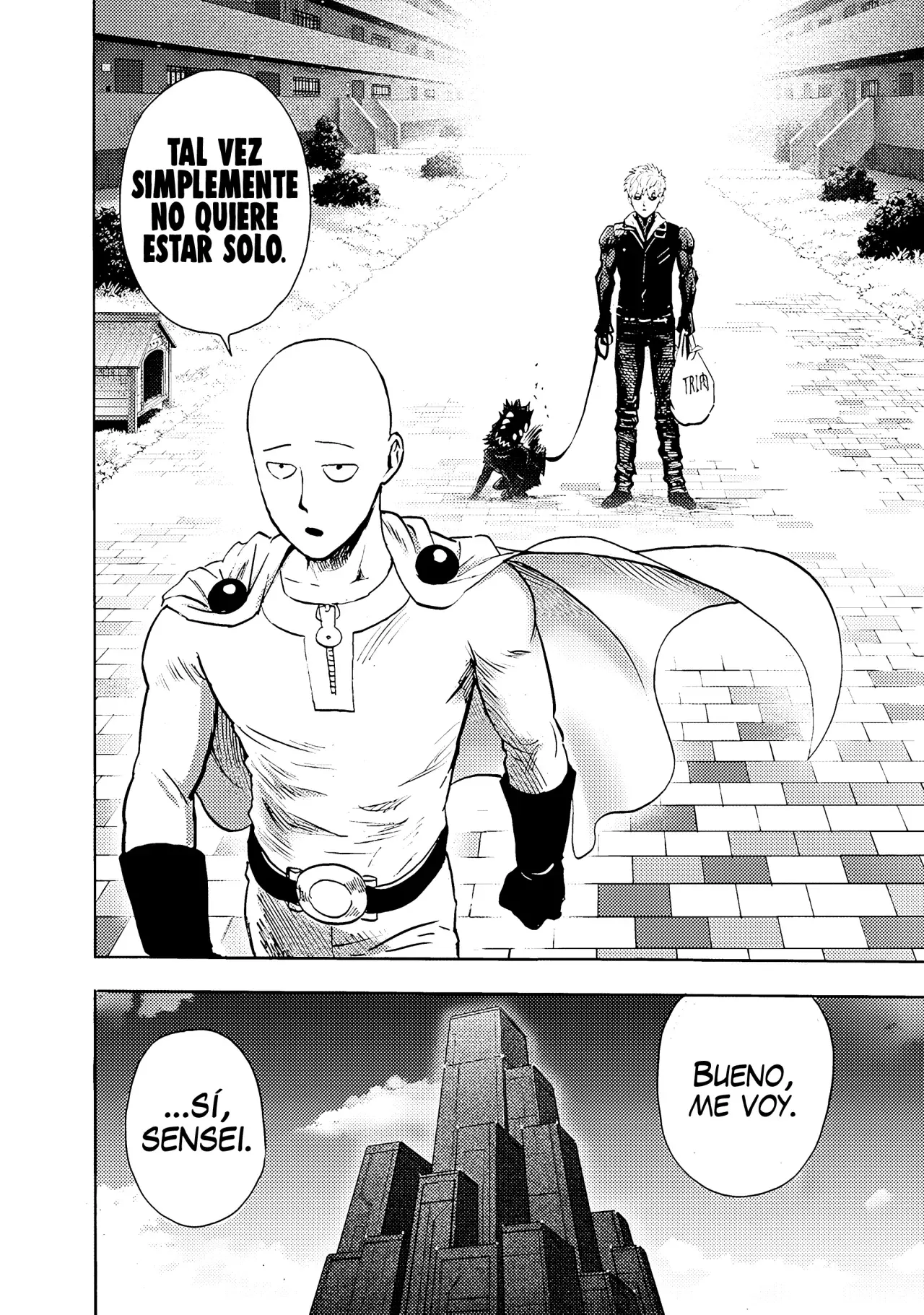 One Punch-Man Capítulo 256 - Página 15 en español