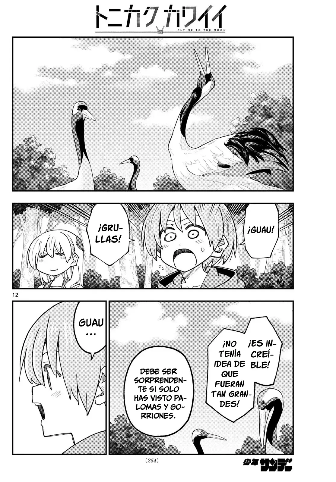 Tonikaku Kawaii Capítulo 302 - Página 14 en español