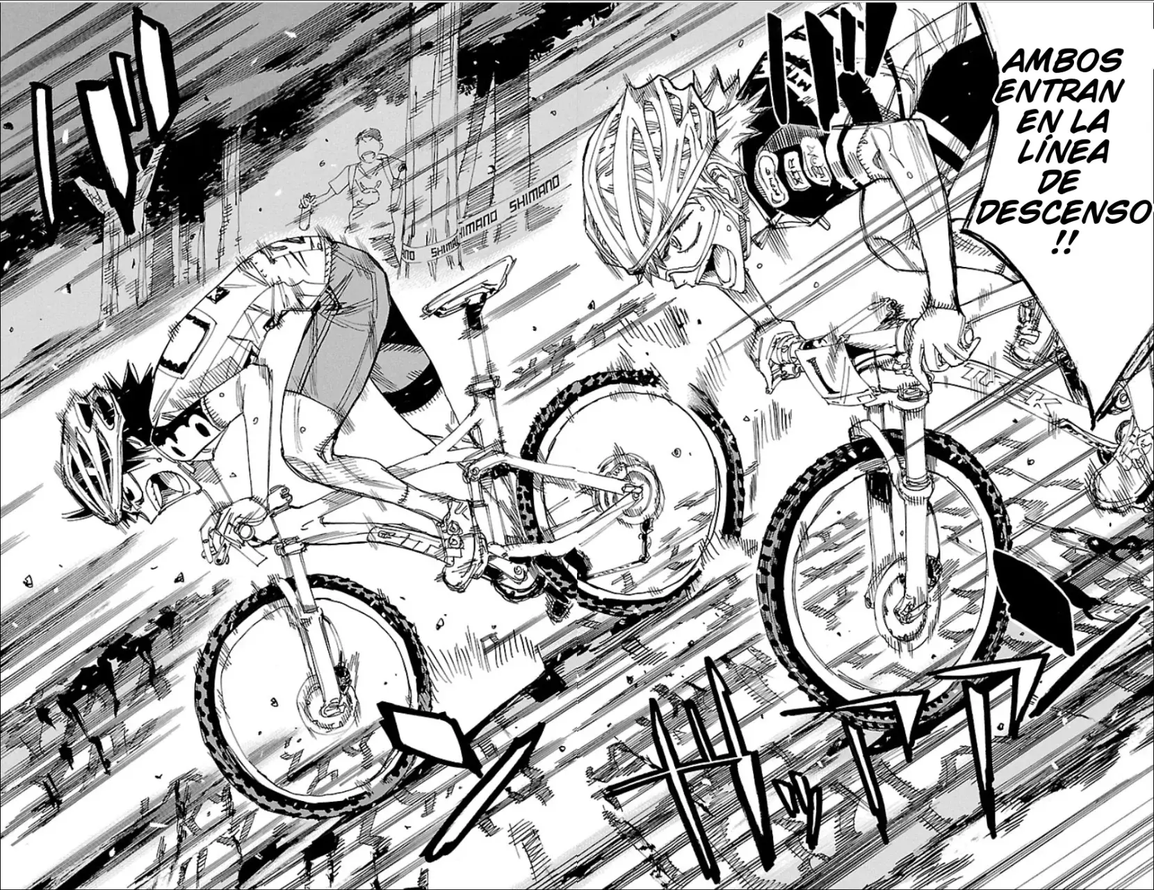 Yowamushi Pedal Capítulo 573 - Página 13 en español
