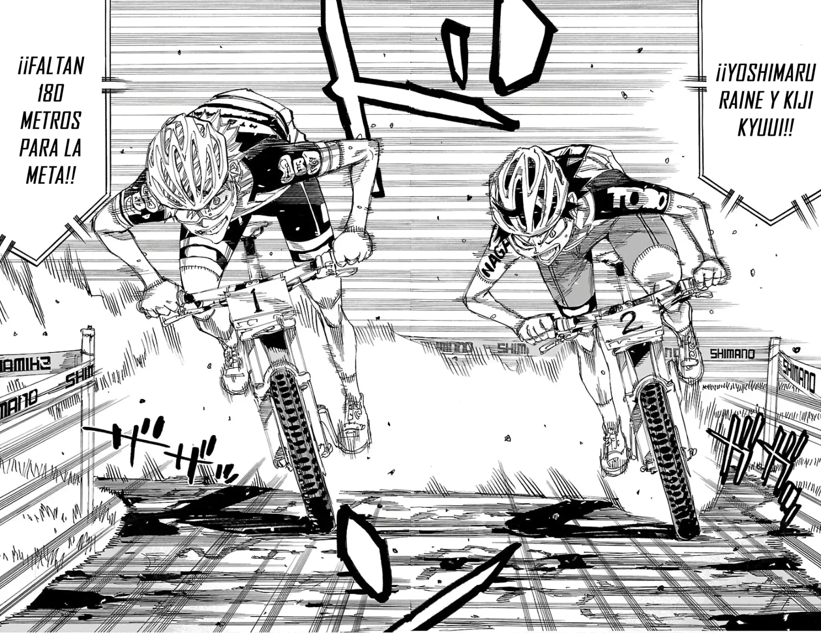 Yowamushi Pedal Capítulo 576 - Página 8 en español