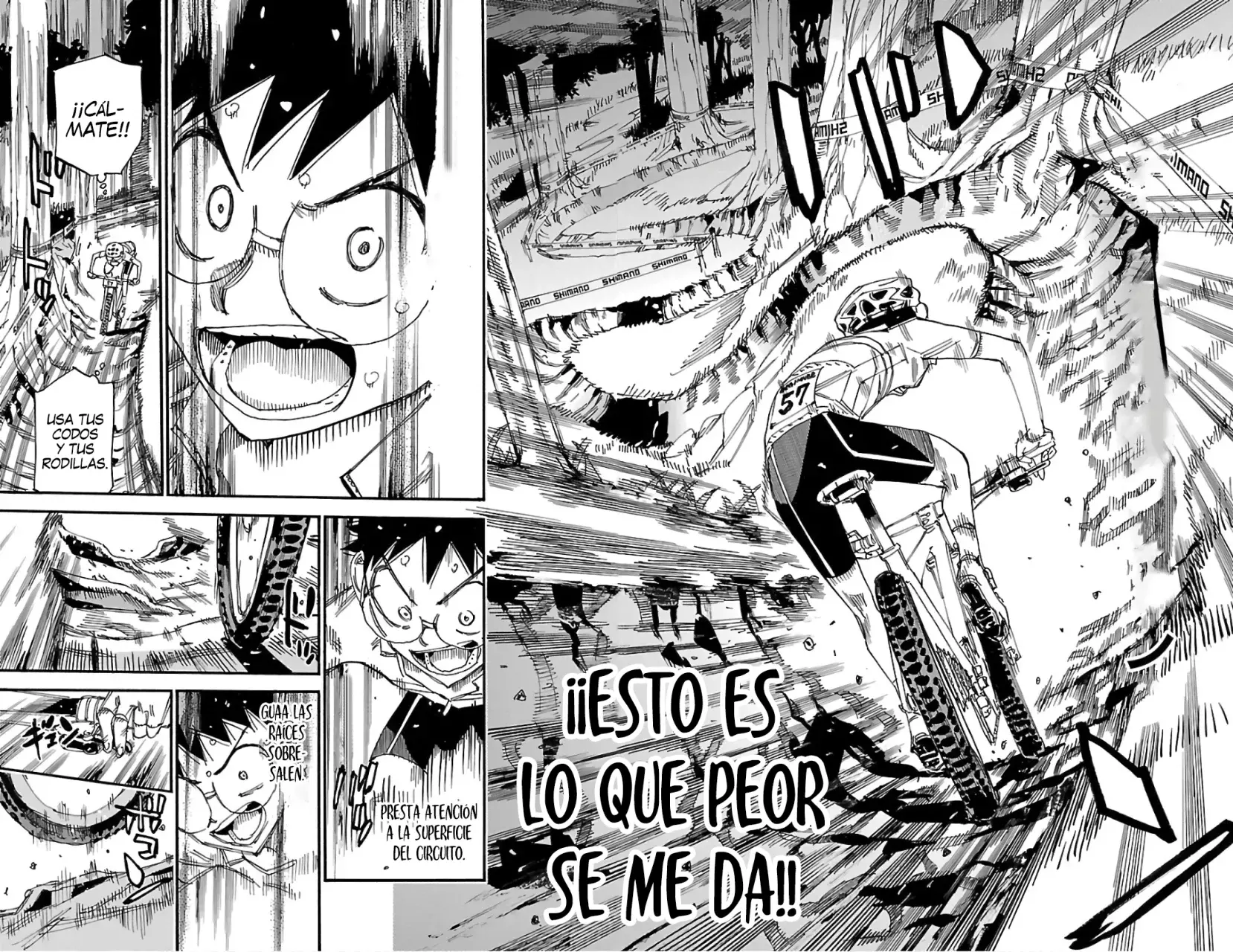 Yowamushi Pedal Capítulo 583 - Página 12 en español