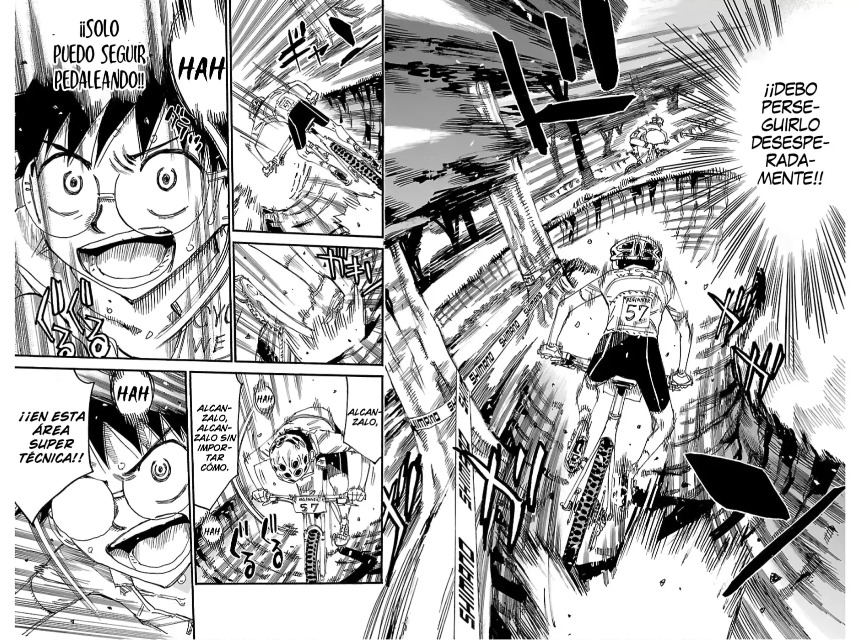 Yowamushi Pedal Capítulo 595 - Página 10 en español