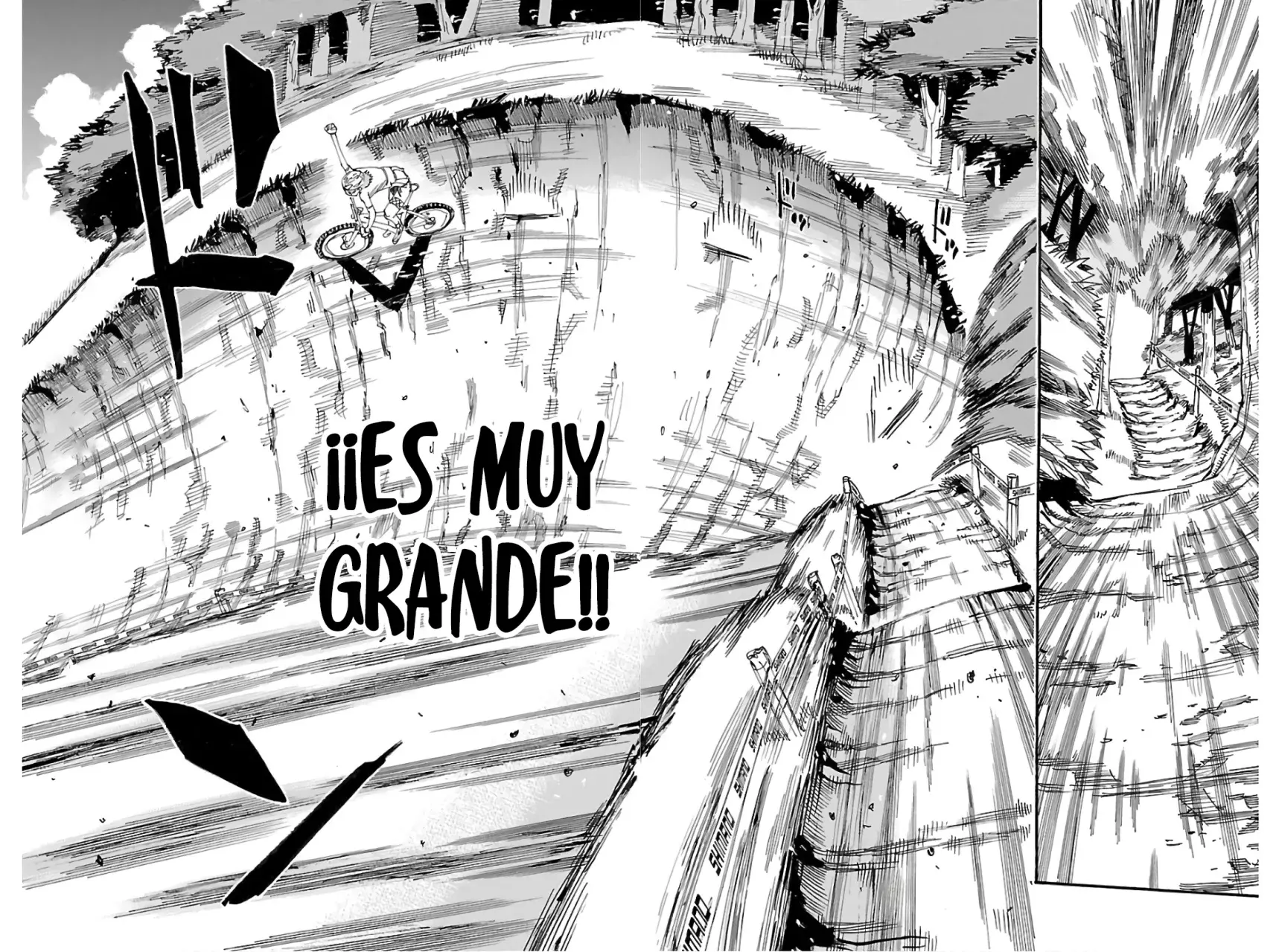 Yowamushi Pedal Capítulo 595 - Página 17 en español