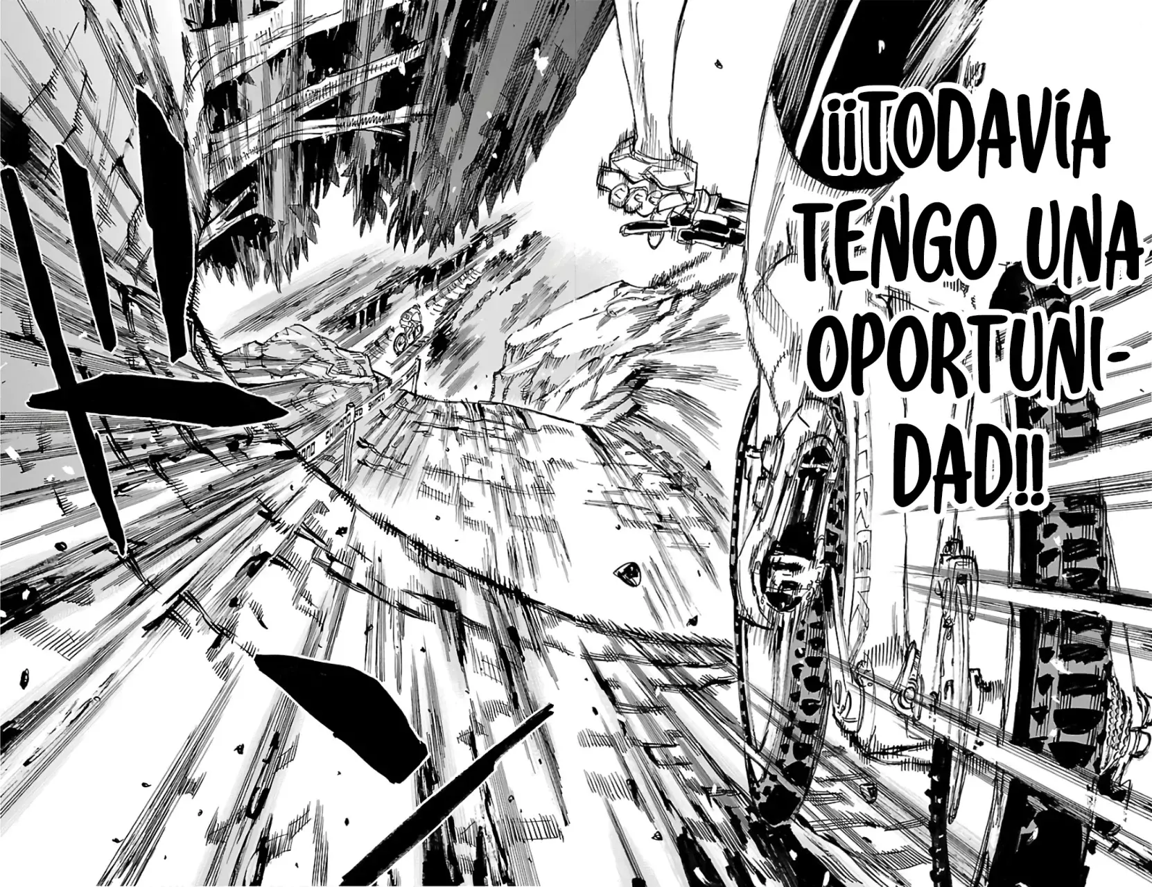 Yowamushi Pedal Capítulo 596 - Página 17 en español