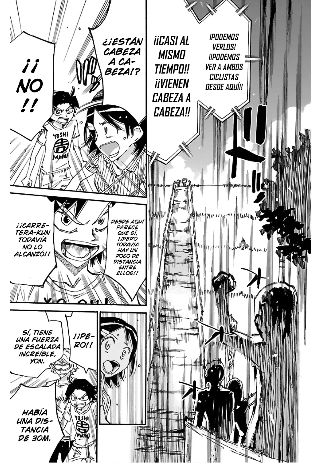 Yowamushi Pedal Capítulo 599 - Página 12 en español