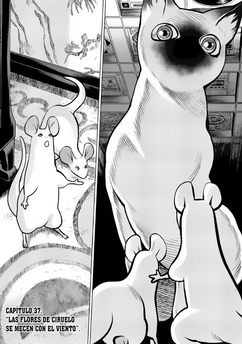 Dance in the Vampire Bund A.S.O Capítulo 37 - Página 3 en español