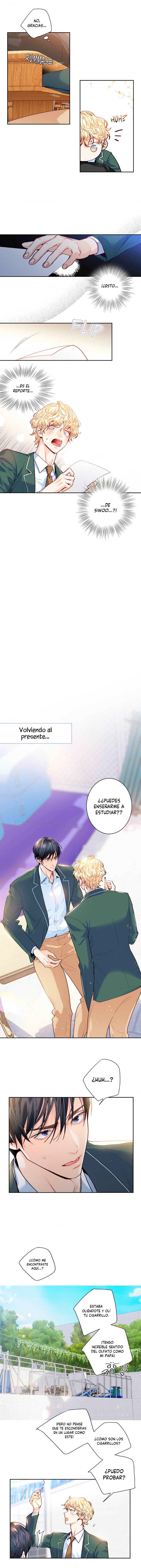 ¡El amor es una ilusión! – Superestrella Capítulo 11 - Página 5 en español