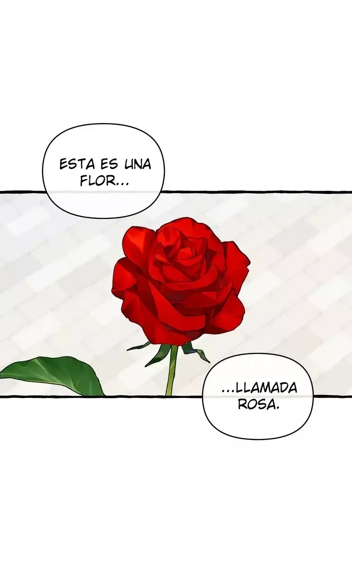 Érase una Vez Capítulo 28 - Página 37 en español