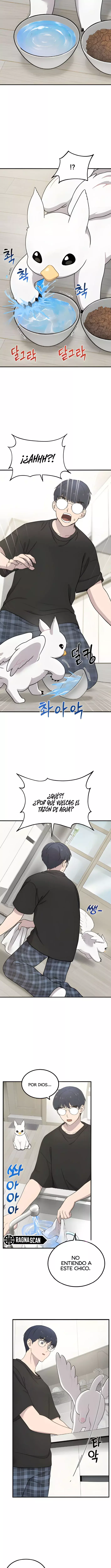 ¡Hola, Pequeño Grifo Peludo! Capítulo 2 - Página 12 en español