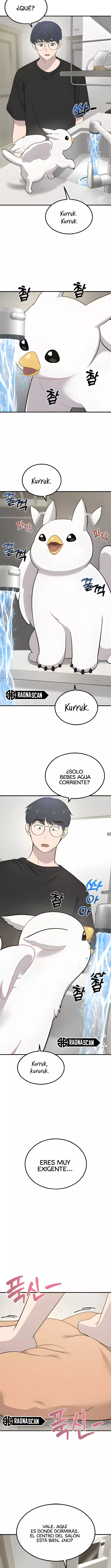 ¡Hola, Pequeño Grifo Peludo! Capítulo 2 - Página 13 en español