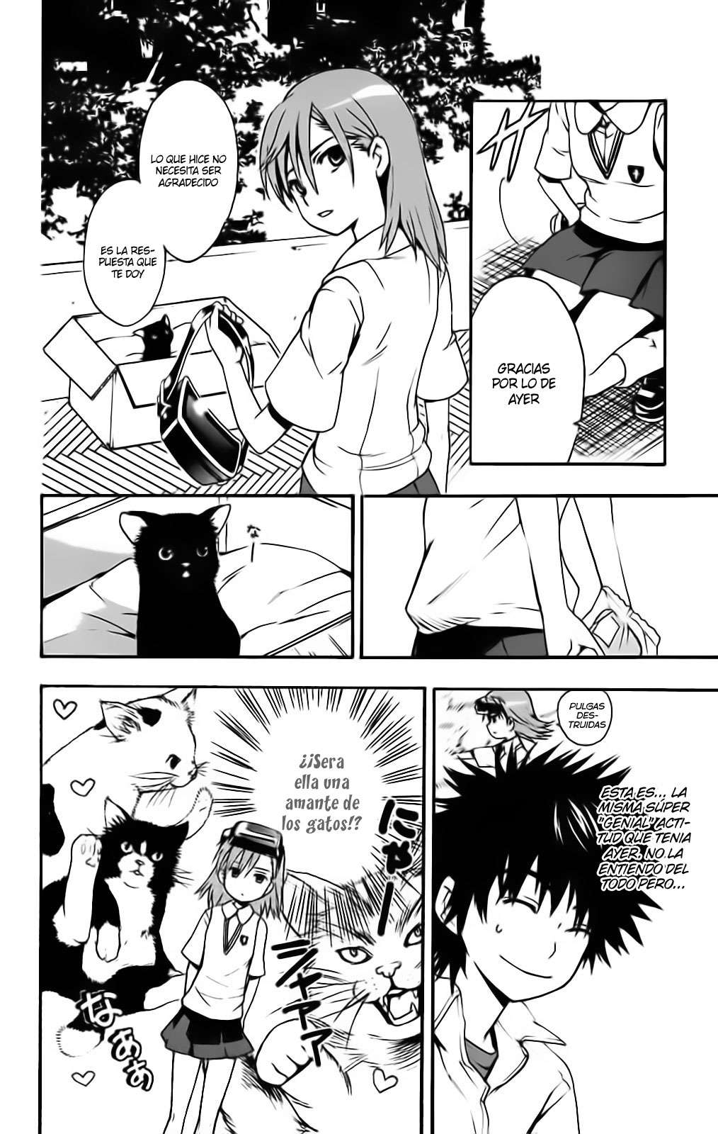 Toaru Majutsu no Index Capítulo 13 - Página 13 en español