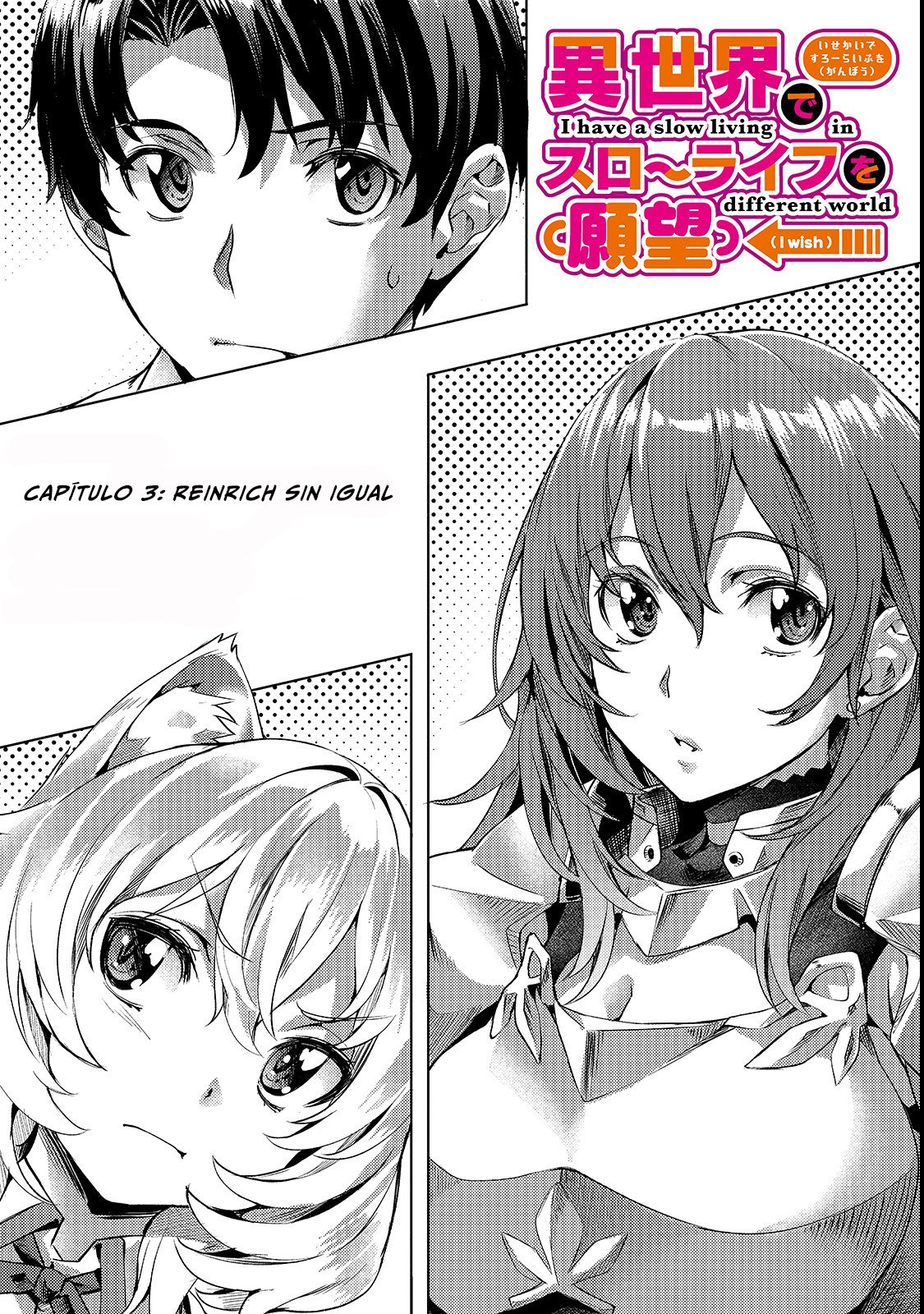 Isekai de Slow Life wo (Ganbou) Capítulo 3 - Página 3 en español