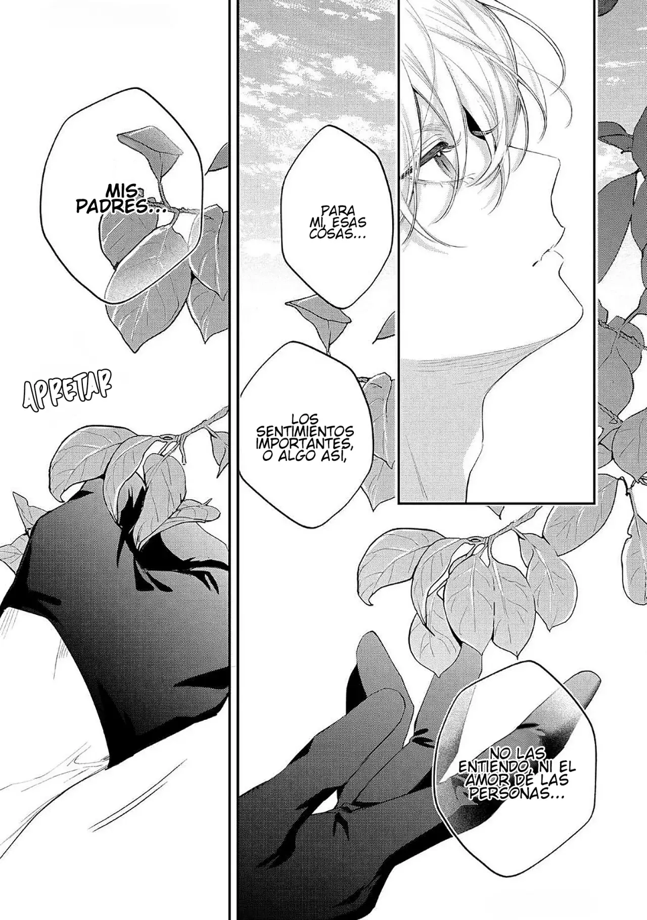 Hana himeru kimi no meteor Capítulo 12 - Página 32 en español