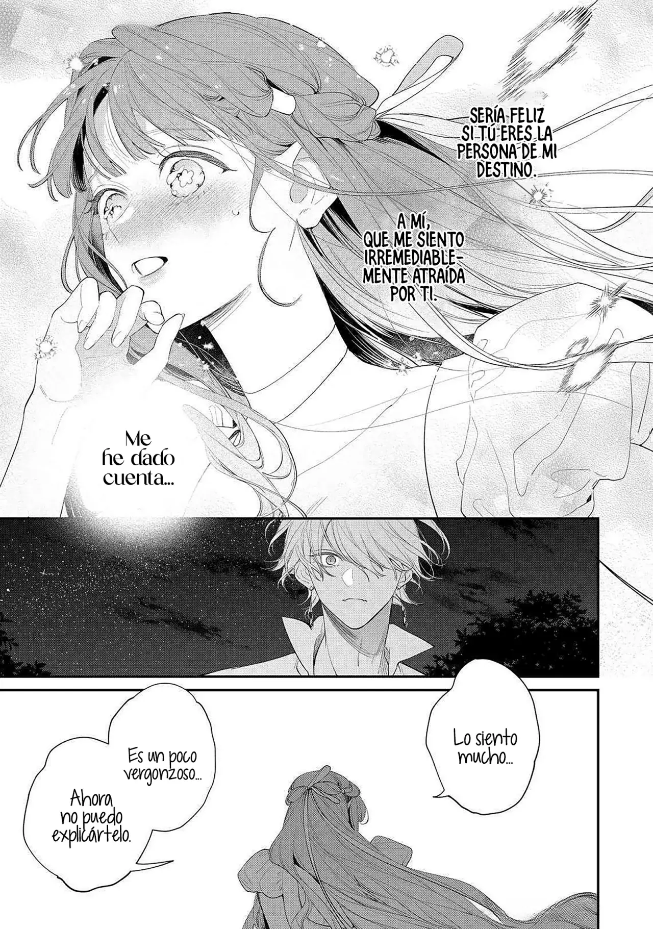 Hana himeru kimi no meteor Capítulo 20 - Página 17 en español